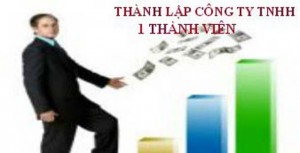 Thành lập Công ty TNHH một thành viên (do tổ chức làm chủ sở hữu)