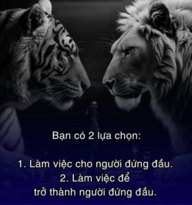 Bí mật mà người giàu không muốn bạn biết