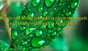 Dù không giỏi giao tiếp, chỉ cần nhớ 3 công thức, nửa sau cuộc đời sẽ ngày càng tốt hơn