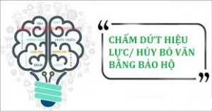 Yêu cầu chấm dứt, huỷ bỏ văn bằng bảo hộ nhãn hiệu