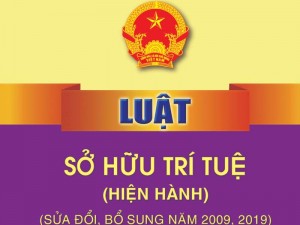 Van ban hop nhat luat so huu tri tue 2019