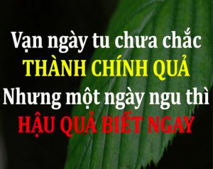 Hành động để thay đổi số phận