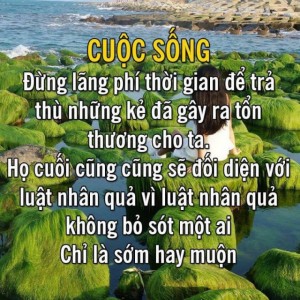 Cuộc sống vốn bất công, nhưng luật nhân quả rất công bằng