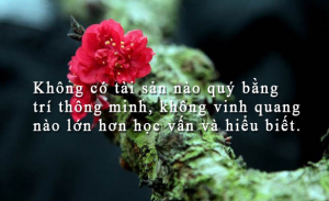 "Cảm xúc là kẻ thù của thành công" – những cạm bẫy cảm xúc khiến cuộc đời bạn không thể thoát khỏi thất bại