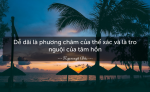 Kết nhầm bạn vừa tốn thời gian, vừa mất tiền bạc, tâm sức