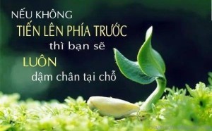 Nghịch cảnh luyện anh tài, càng khó khăn bạn lại càng thông tuệ