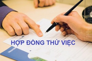 Không ký hợp đồng thử việc có trái pháp luật?